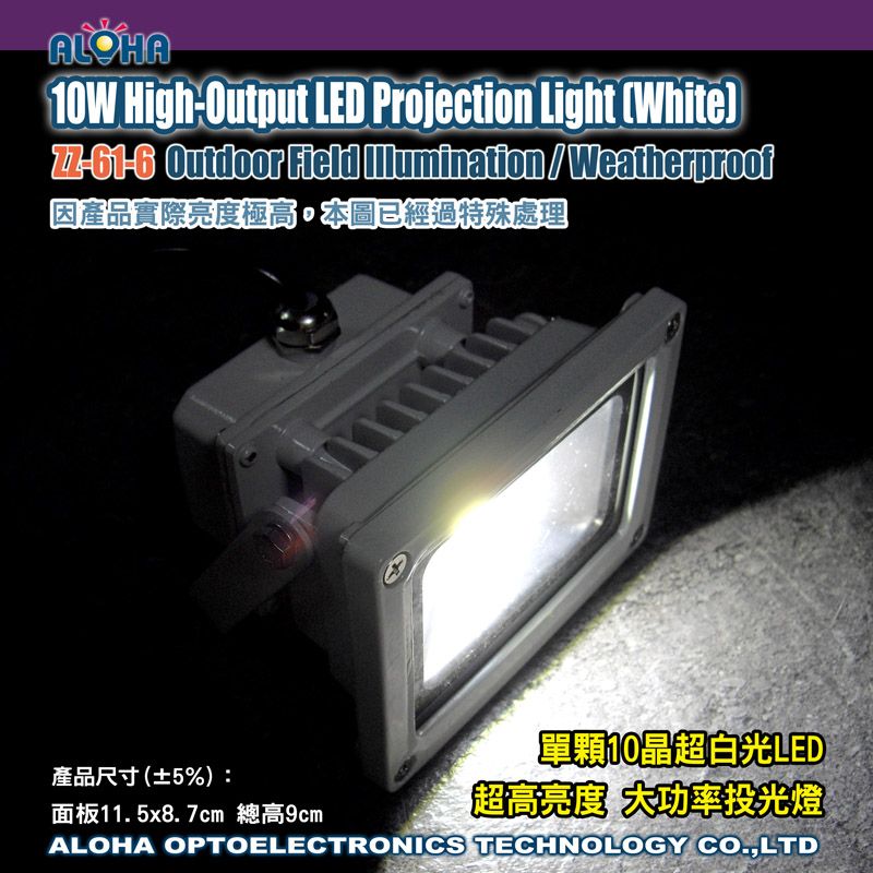 大功率LED投光燈10W(白光)